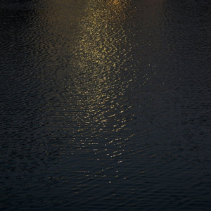 欧美性爱免费福利
